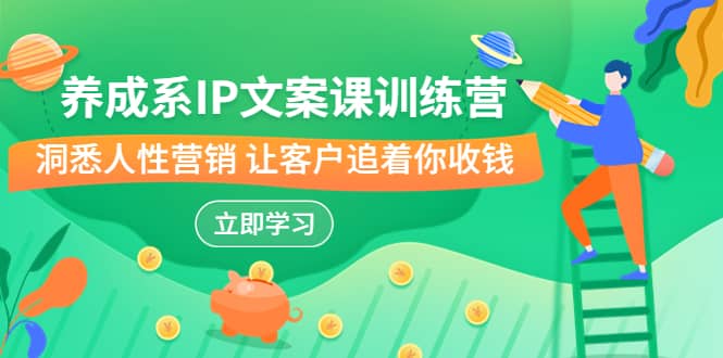 养成系-IP文案课训练营，文案心法的天花板 洞悉人性营销 让客户追着你收钱-布丁源码-专业的网站源码代码分享平台!