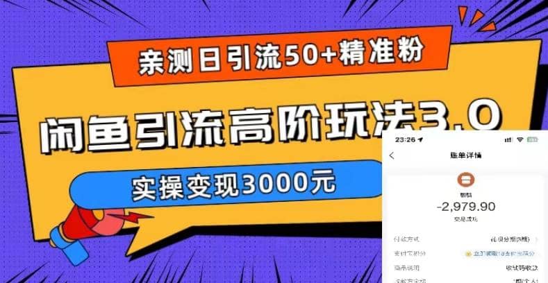实测日引50+精准粉，闲鱼引流高阶玩法3.0，实操变现3000元-布丁源码-专业的网站源码代码分享平台!