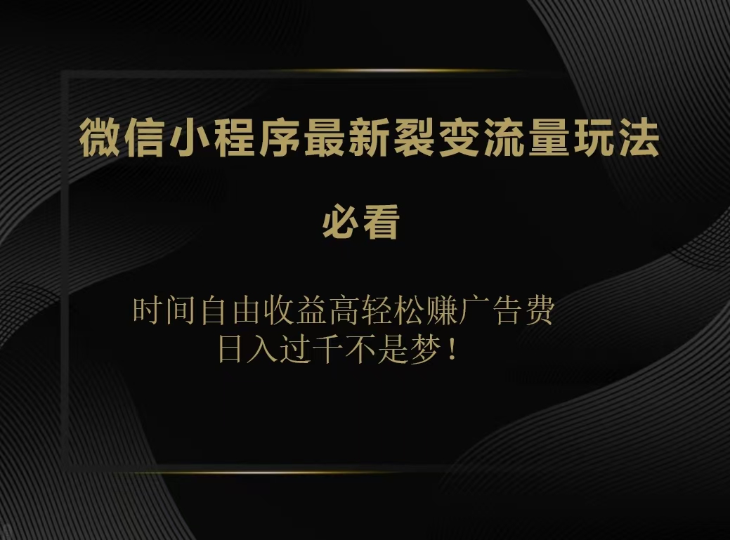 微信小程序最新裂变流量玩法，时间自由收益高轻松赚广告费，日入200-500+-布丁源码-专业的网站源码代码分享平台!
