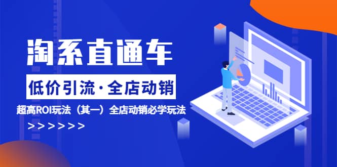 淘系直通车《低价·引流 全店·动销》超高ROI玩法（其一）全店动销必学玩法-布丁源码-专业的网站源码代码分享平台!
