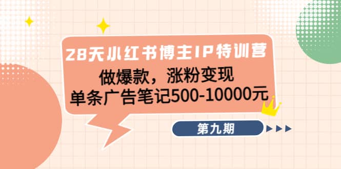28天小红书博主IP特训营《第9期》-布丁源码-专业的网站源码代码分享平台!