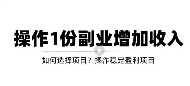 新手如何通过操作副业增加收入，从项目选择到玩法分享！【视频教程】-布丁源码-专业的网站源码代码分享平台!