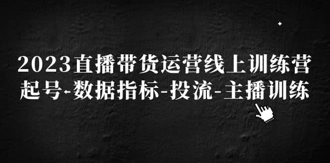 2023直播带货运营线上训练营，起号-数据指标-投流-主播训练-布丁源码-专业的网站源码代码分享平台!