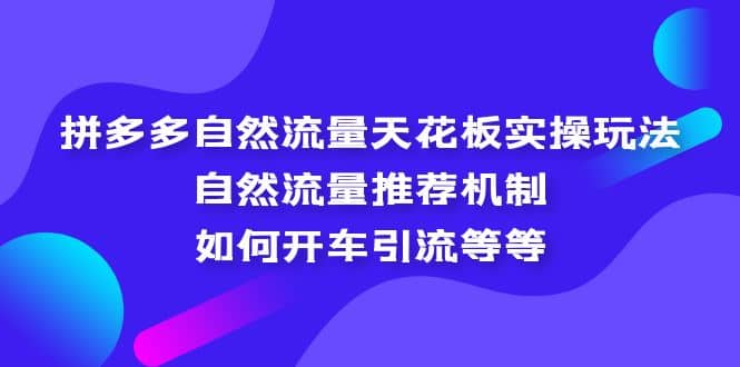拼多多自然流量天花板实操玩法：自然流量推荐机制，如何开车引流等等-布丁源码-专业的网站源码代码分享平台!