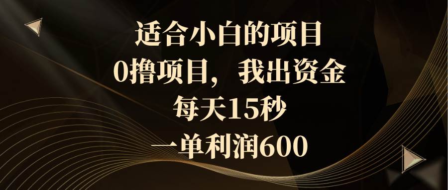 适合小白的项目，0撸项目，我出资金，每天15秒，一单利润600-布丁源码-专业的网站源码代码分享平台!