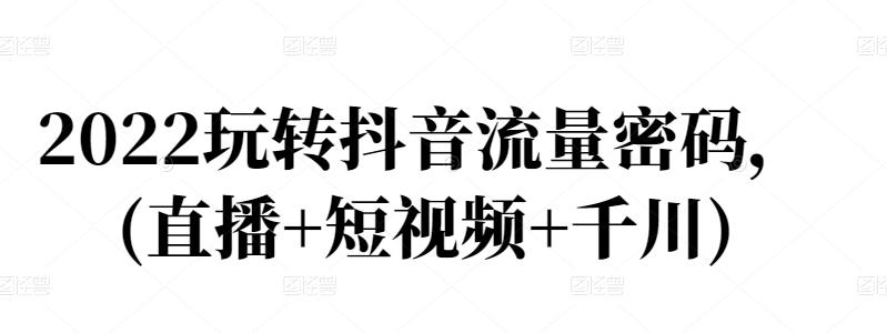 2022玩转抖音流量密码，(直播+短视频+千川)-布丁源码-专业的网站源码代码分享平台!
