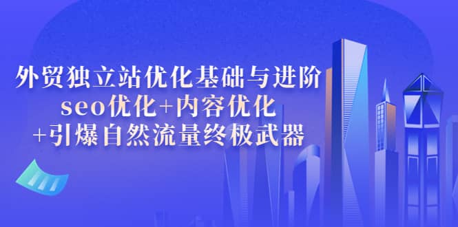 外贸独立站优化基础与进阶，seo优化+内容优化+引爆自然流量终极武器-布丁源码-专业的网站源码代码分享平台!