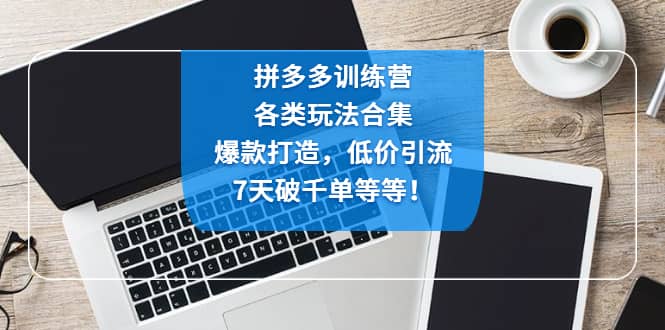 拼多多训练营：各玩法合集，爆款打造，低价引流，7天破千单等等-布丁源码-专业的网站源码代码分享平台!