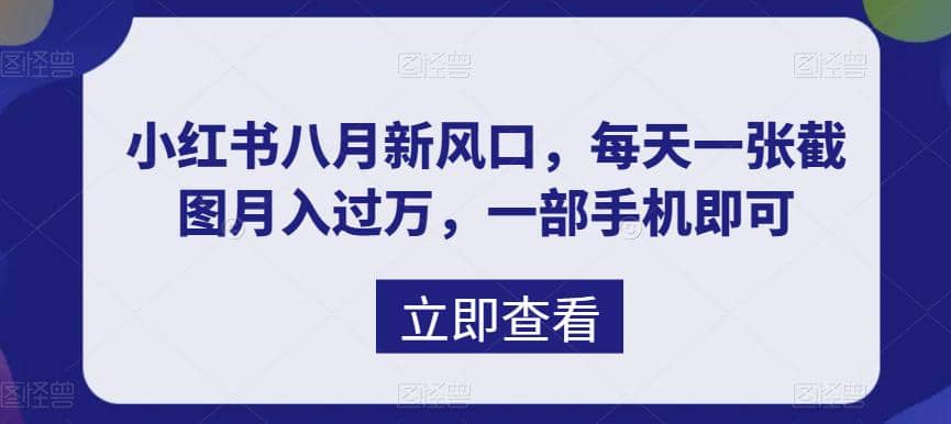 八月新风口，小红书虚拟项目一天收入1000+，实战揭秘-布丁源码-专业的网站源码代码分享平台!