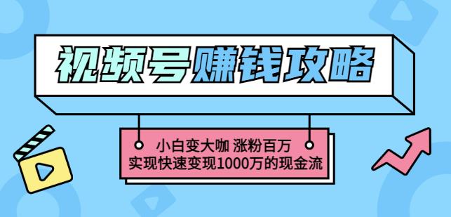 玩转微信视频号赚钱：小白变大咖涨粉百万实现快速变现1000万的现金流-布丁源码-专业的网站源码代码分享平台!