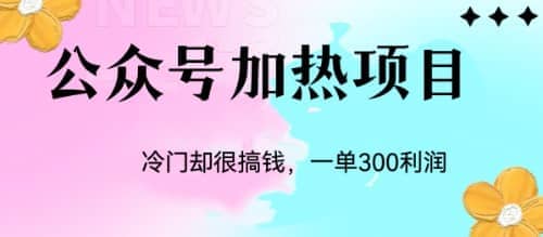冷门公众号加热项目，一单利润300+-布丁源码-专业的网站源码代码分享平台!