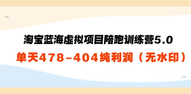 淘宝蓝海虚拟项目陪跑训练营5.0：单天478纯利润（无水印）-布丁源码-专业的网站源码代码分享平台!
