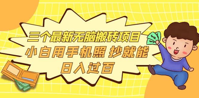 三个最新无脑搬砖项目，小白用手机照抄就能日入过百-布丁源码-专业的网站源码代码分享平台!