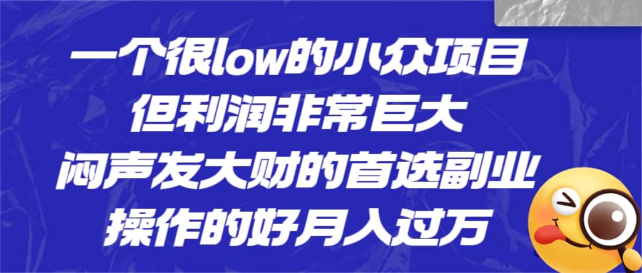 一个很low的小众项目，但利润非常巨大，闷声发大财的首选副业，月入过万-布丁源码-专业的网站源码代码分享平台!
