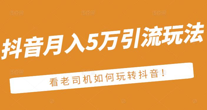 老古董·抖音月入5万引流玩法，看看老司机如何玩转抖音(附赠：抖音另类引流思路)-布丁源码-专业的网站源码代码分享平台!
