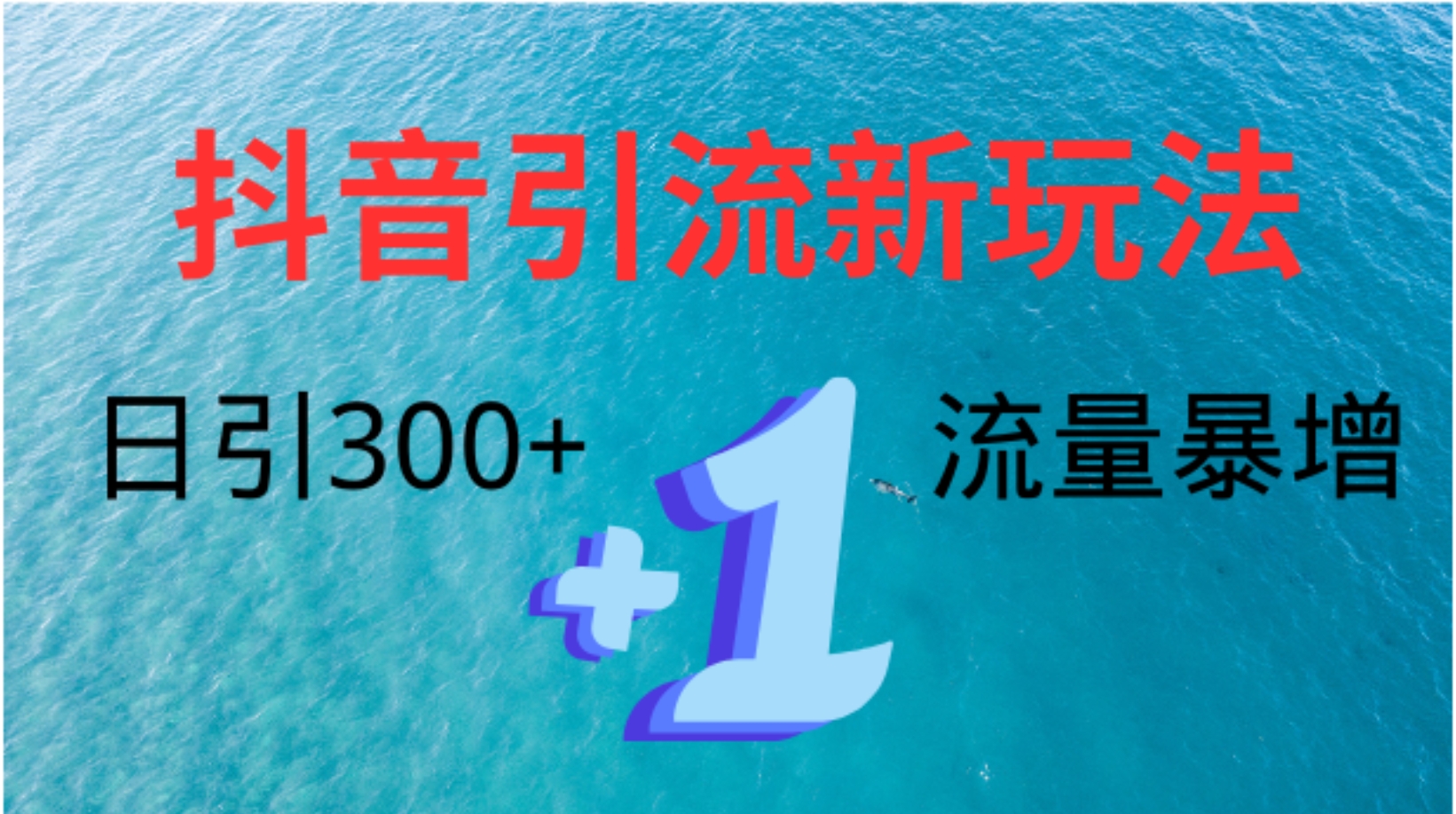 创业粉高效引流，抖音工具号玩法4.0，日引300+-布丁源码-专业的网站源码代码分享平台!