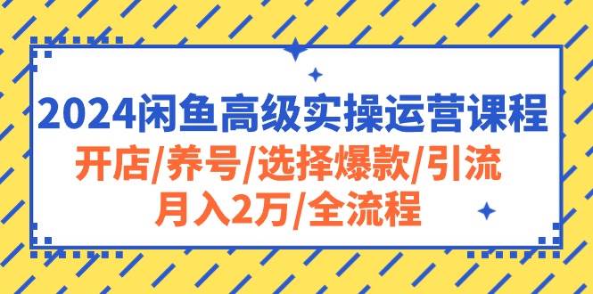 2024闲鱼高级实操运营课程：开店/养号/选择爆款/引流/月入2万/全流程-布丁源码-专业的网站源码代码分享平台!