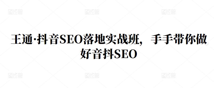 王通·抖音SEO落地实战班，手‬手带你做好音抖‬‬SEO-布丁源码-专业的网站源码代码分享平台!