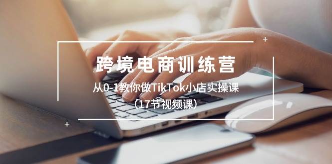 跨境电商训练营：从0-1教你做TikTok小店实操课（17节视频课）-布丁源码-专业的网站源码代码分享平台!