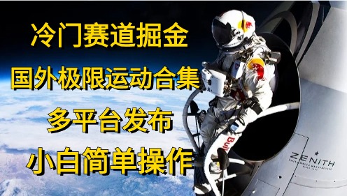 冷门赛道掘金，极限运动合集，多平台发布，小白简单操作-布丁源码-专业的网站源码代码分享平台!