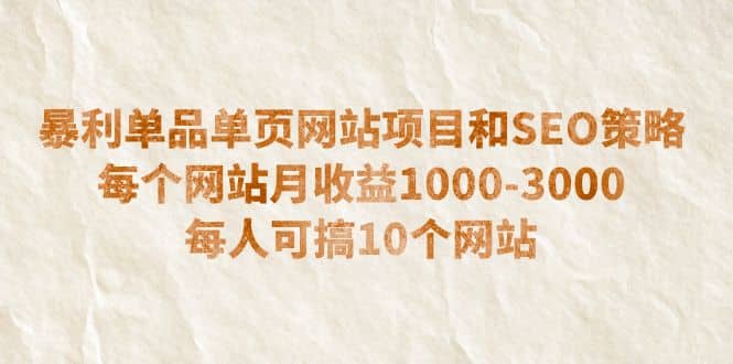 暴利单品单页网站项目和SEO策略 每个网站月收益1000-3000 每人可搞10个-布丁源码-专业的网站源码代码分享平台!