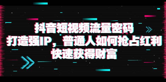 抖音短视频流量密码：打造强IP，普通人如何抢占红利，快速获得财富-布丁源码-专业的网站源码代码分享平台!