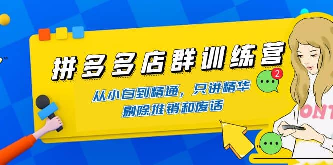 拼多多店群训练营：从小白到精通，只讲精华，剔除推销和废话-布丁源码-专业的网站源码代码分享平台!