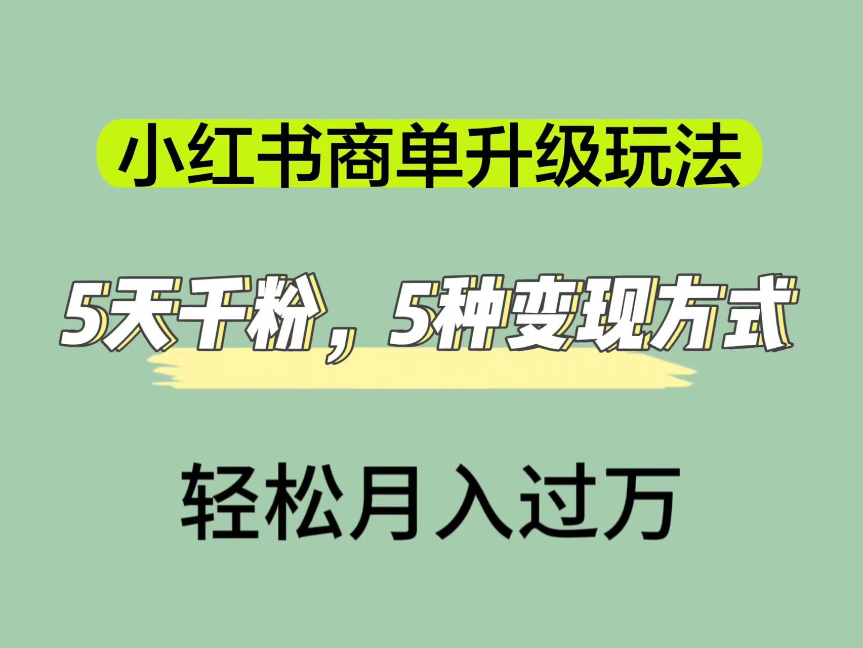 小红书商单升级玩法，5天千粉，5种变现渠道，轻松月入1万+-布丁源码-专业的网站源码代码分享平台!