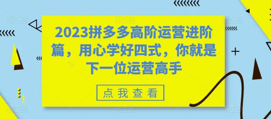 2023拼多多高阶运营进阶篇，用心学好四式，你就是下一位运营高手-布丁源码-专业的网站源码代码分享平台!