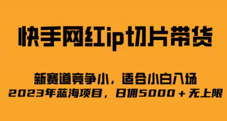 快手网红ip切片新赛道，竞争小事，适合小白 2023蓝海项目-布丁源码-专业的网站源码代码分享平台!