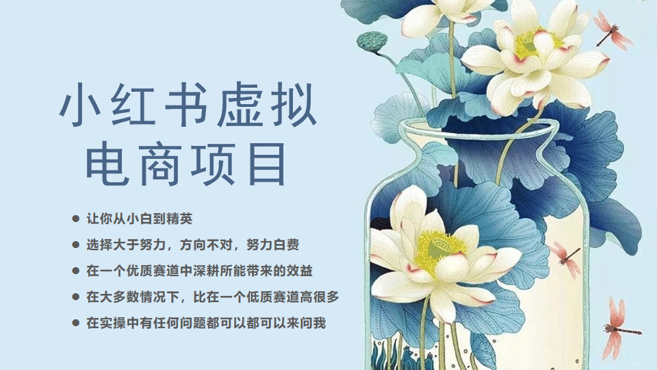 小红书虚拟电商从0到1，让你从小白到精英（20节实操课程）-布丁源码-专业的网站源码代码分享平台!