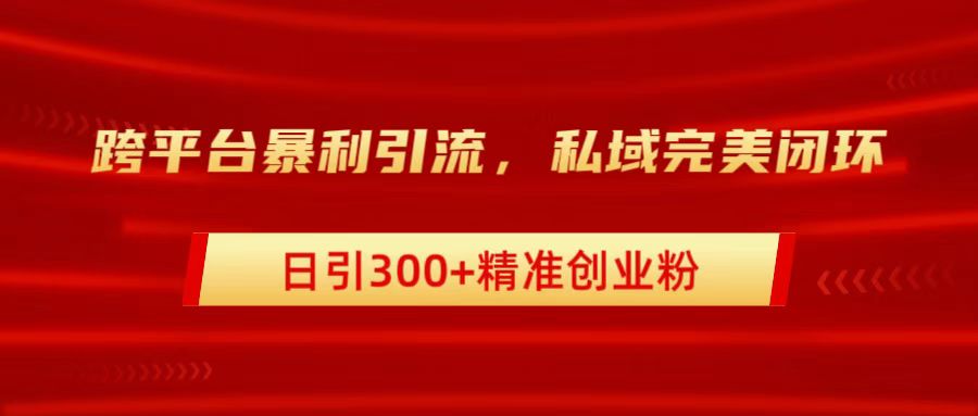 跨平台暴力引流，私域完美闭环，日引300+精准创业粉-布丁源码-专业的网站源码代码分享平台!