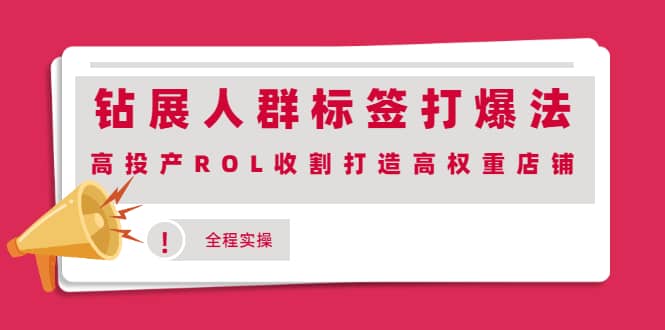 钻展人群标签打爆法，高投产ROL收割打造高权重店铺(全程实操)-布丁源码-专业的网站源码代码分享平台!