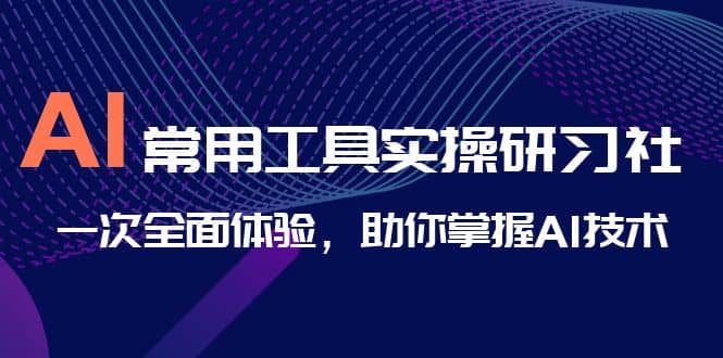 AI-常用工具实操研习社，一次全面体验，助你掌握AI技术-布丁源码-专业的网站源码代码分享平台!