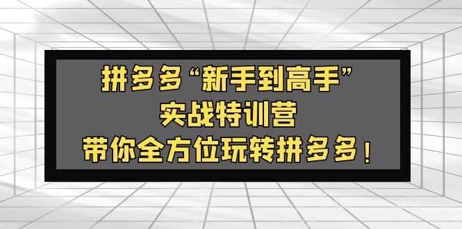 拼多多“新手到高手”实战特训营：带你全方位玩转拼多多-布丁源码-专业的网站源码代码分享平台!