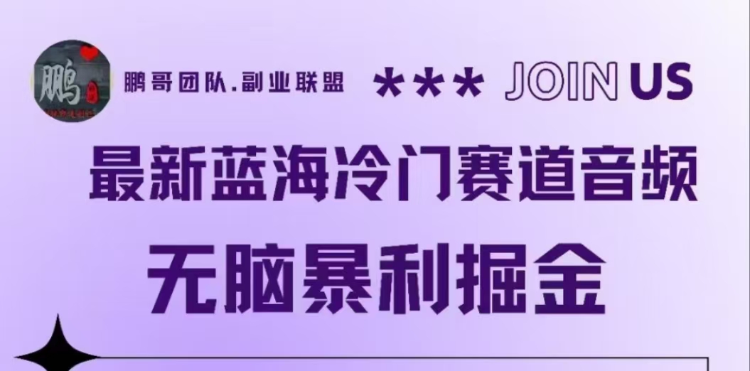 最新蓝海冷门赛道音频，无脑暴利掘金-布丁源码-专业的网站源码代码分享平台!