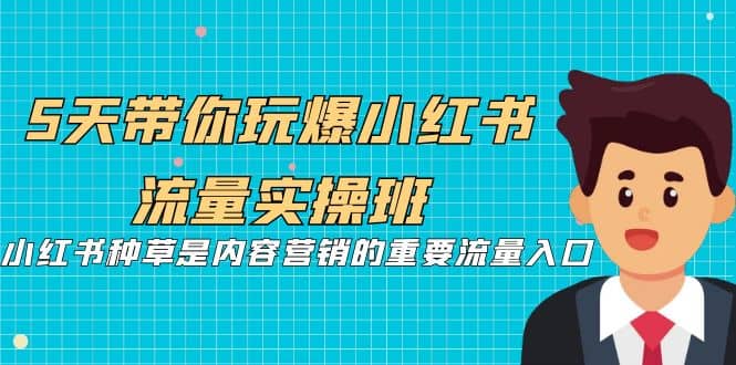 5天带你玩爆小红书流量实操班，小红书种草是内容营销的重要流量入口-布丁源码-专业的网站源码代码分享平台!