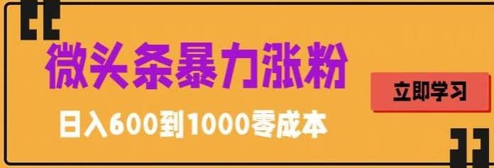 微头条暴力涨粉技巧搬运文案就能涨几万粉丝，简单0成本，日赚600-布丁源码-专业的网站源码代码分享平台!