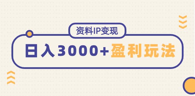 资料IP变现，持续性盈利玩法-布丁源码-专业的网站源码代码分享平台!