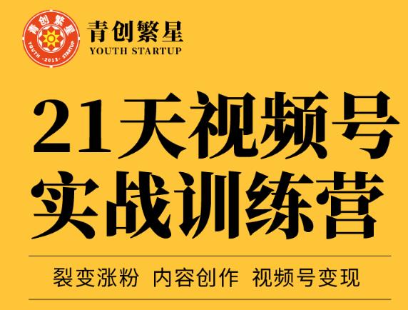 张萌21天视频号实战训练营，裂变涨粉、内容创作、视频号变现 价值298元-布丁源码-专业的网站源码代码分享平台!