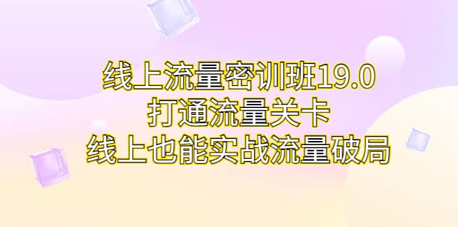 线上流量密训班19.0，打通流量关卡，线上也能实战流量破局-布丁源码-专业的网站源码代码分享平台!
