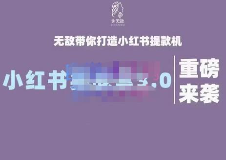 谢无敌·小红书实战营3.0，无敌带你打造小红书提款机 价值7999元-布丁源码-专业的网站源码代码分享平台!