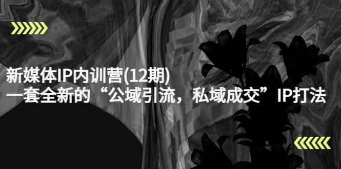 新媒体IP内训营(12期)，一套全新的“公域引流，私域成交”IP打法，直接带走-布丁源码-专业的网站源码代码分享平台!
