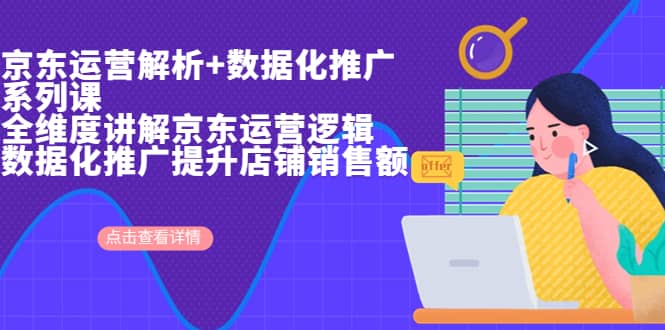 京东运营解析与数据化推广系列课，全维度讲解京东运营逻辑+数据化推广提升店铺销售额-布丁源码-专业的网站源码代码分享平台!