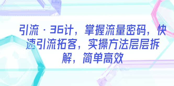 引流·36计，掌握流量密码，快速引流拓客，实操方法层层拆解，简单高效-布丁源码-专业的网站源码代码分享平台!