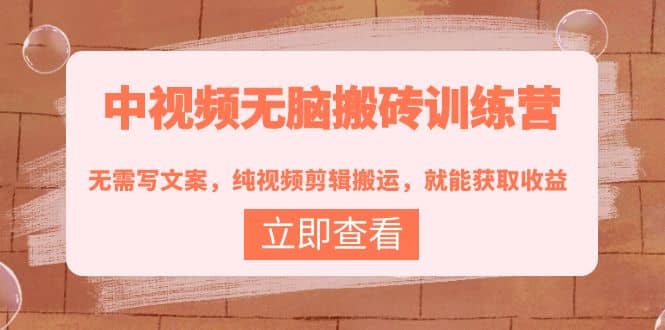 中视频无脑搬砖训练营：无需写文案，纯视频剪辑搬运，就能获取收益-布丁源码-专业的网站源码代码分享平台!