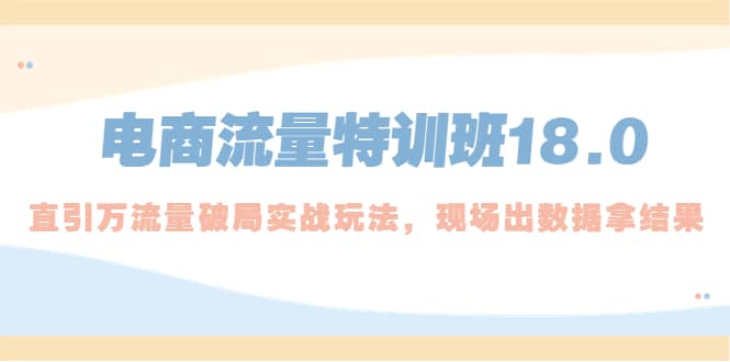 电商流量特训班18.0，直引万流量破局实操玩法，现场出数据拿结果-布丁源码-专业的网站源码代码分享平台!