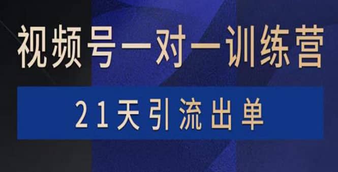 视频号训练营：带货，涨粉，直播，游戏，四大变现新方向，21天引流出单-布丁源码-专业的网站源码代码分享平台!