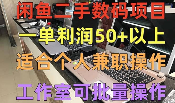 闲鱼二手数码项目，个人副业低保收入，工作室批量放大操作-布丁源码-专业的网站源码代码分享平台!