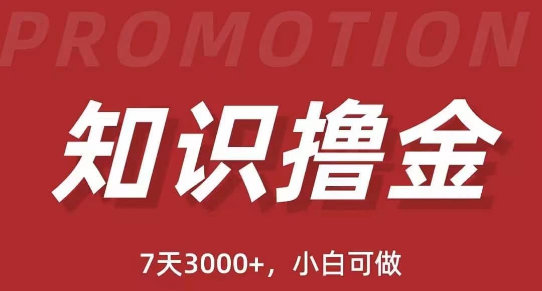 抖音知识撸金项目：执行力强当天见收益(教程+资料)-布丁源码-专业的网站源码代码分享平台!